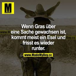 Wenn Gras über eine Sache gewachsen ist, kommt meist ein Esel und frisst es wieder runter.