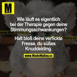 Wie läuft es eigentlich bei der Therapie gegen deine Stimmungsschwankungen? Halt bloß deine verfickte Fresse, du süßes K