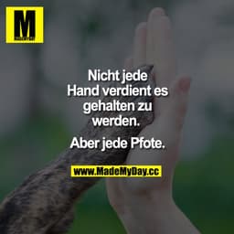 Nicht jede Hand verdient es gehalten zu werden. 

Aber jede Pfote.