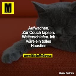 Aufwachen. Zur Couch tapsen. Weiterschlafen. Ich wäre ein tolles Haustier.