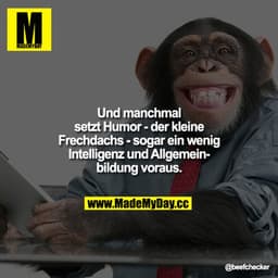 Und manchmal setzt Humor - der kleine Frechdachs - sogar ein wenig Intelligenz und Allgemeinbildung voraus.