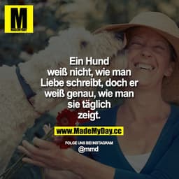 Ein Hund weiß nicht, wie man Liebe schreibt, doch er weiß genau, wie man sie täglich zeigt.
