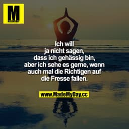 Ich will ja nicht sagen, dass ich gehässig bin, aber ich sehe es gerne, wenn auch mal die Richtigen auf die Fresse falle