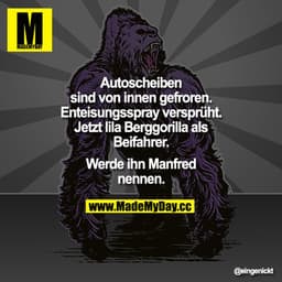 Autoscheiben sind von innen gefroren. Enteisungsspray versprüht. Jetzt lila Berggorilla als Beifahrer. Werde ihn Manfred