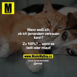 Wann weiß ich, ob ich jemandem vertrauen kann? - Zu 100%? ... wenn es bellt oder miaut!