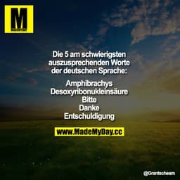 Die 5 am schwierigsten auszusprechenden Worte der deutschen Sprache:

Amphibrachys
Desoxyribonukleinsäure
Bitte
Danke
En