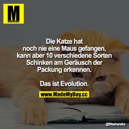 Die Katze hat noch nie eine Maus gefangen, kann aber 10 verschiedene Sorten Schinken am Geräusch der Packung erkennen.

