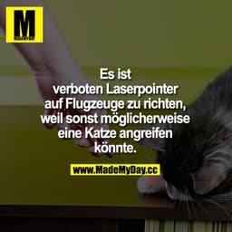 Es ist verboten Laserpointer auf Flugzeuge zu richten, weil sonst möglicherweise eine Katze angreifen könnte.