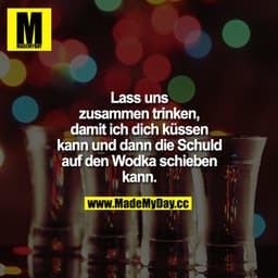 Lass uns zusammen trinken, damit ich dich küssen kann und dann die Schuld auf den Wodka schieben kann.