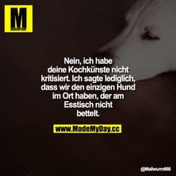 Nein, ich habe deine Kochkünste nicht kritisiert. Ich sagte lediglich, dass wir den einzigen Hund im Ort haben, der am E