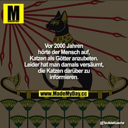 Vor 2000 Jahren hörte der Mensch auf, Katzen als Götter anzubeten. Leider hat man damals versäumt, die Katzen darüber zu