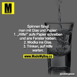 Spinnen fängt man mit Glas und Papier:
1. "Hilfe!" aufs Papier schreiben und ans Fenster kleben.
2. Wodka ins Glas.
3. T