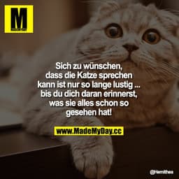Sich zu wünschen, dass die Katze sprechen kann ist nur so lange lustig ... bis du dich daran erinnerst, was sie alles sc