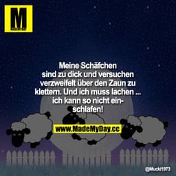 Meine Schäfchen sind zu dick und versuchen verzweifelt über den Zaun zu klettern. Und ich muss lachen....ich kann so nic