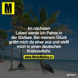 Im nächsten Leben werde ich Palme in der Südsee.

Bei meinem Glück gräbt mich da einer aus und stellt mich in einen deut
