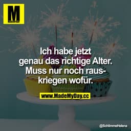 Ich habe jetzt genau das richtige Alter.
Muss nur noch rauskriegen wofür.