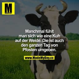 Manchmal fühlt man sich wie eine Kuh auf
der Wiese.
Die ist auch den ganzen Tag von Pfosten umgeben.