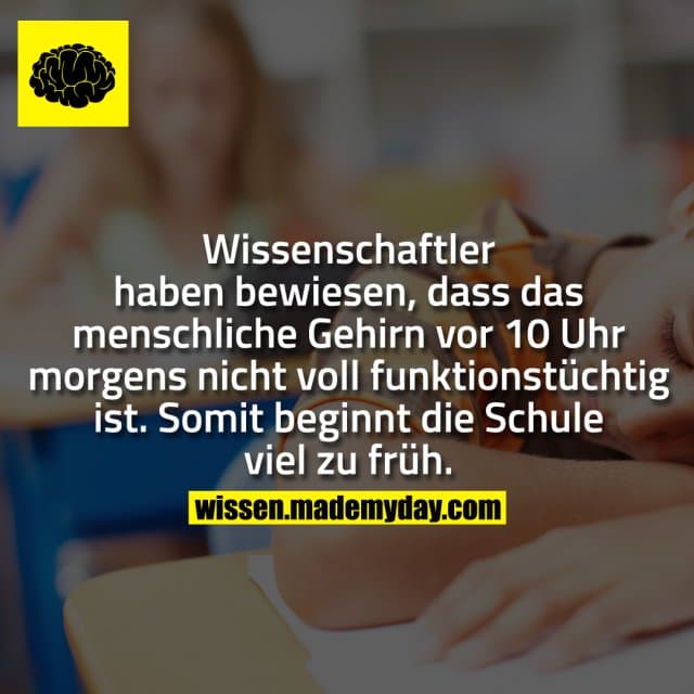Wissenschaftler haben bewiesen, dass das menschliche Gehirn vor 10 Uhr morgens nicht voll funktionstüchtig ist. Somit b…