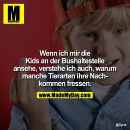 Wenn ich mir die Kids an der Bushaltestelle ansehe, verstehe ich auch, warum manche Tierarten ihre Nachkommen fressen.