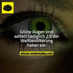 Grüne Augen sind selten! 
Lediglich 2 % der Weltbevölkerung haben sie.