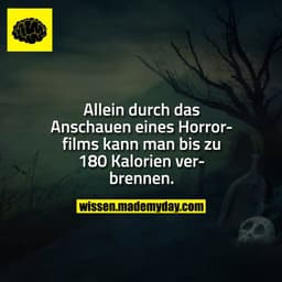 Allein durch das Anschauen eines Horrorfilms kann man bis zu 180 Kalorien verbrennen.