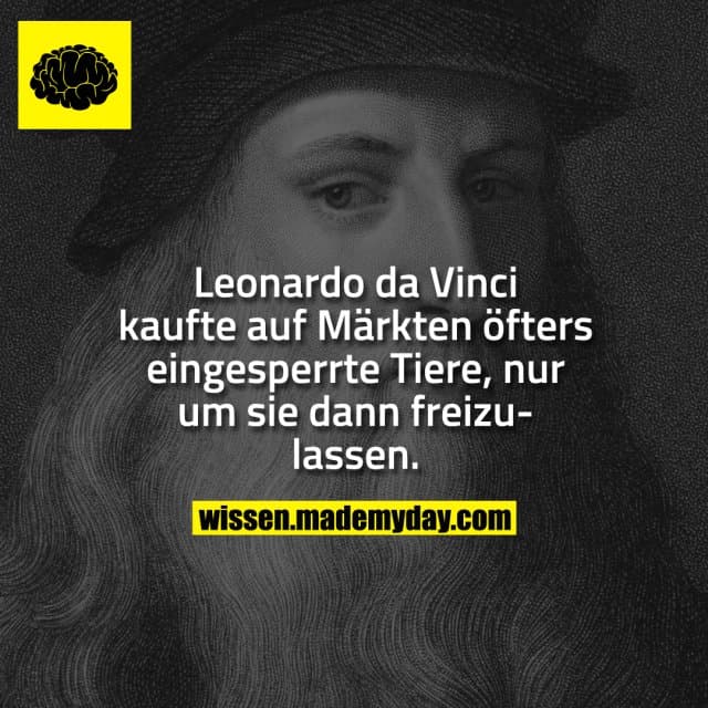 Leonardo da Vinci kaufte auf Märkten öfters eingesperrte Tiere, nur um sie dann frei zu lassen.