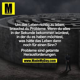 Um das Leben richtig zu leben, brauchst du Probleme. Wenn du alles in der Sekunde bekommen würdest, in der du es haben m