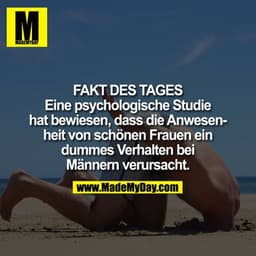 Fakt des Tages:
Eine psychologische Studie hat herausgefunden, dass die Anwesenheit von schönen Frauen ein dummes Verhal