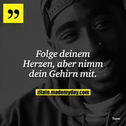 Folge deinem Herzen, aber nimm dein Gehirn mit.