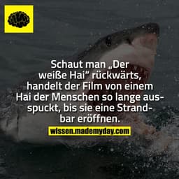 Schaut man „Der weiße Hai“ rückwärts, handelt der Film von einem Hai der Menschen so lange ausspuckt, bis sie eine Stran