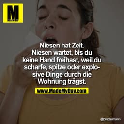 Niesen hat Zeit.
Niesen wartet, bis du keine Hand freihast, weil du scharfe, spitze oder explosive Dinge durch die Wohnu