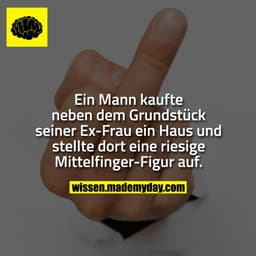 Ein Mann kaufte neben dem Grundstück seiner Ex-Frau ein Haus und stellte dort eine riesige Mittelfinger-Figur auf.