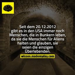 Seit dem 20.12.2012 gibt es in den USA immer noch Menschen, die in Bunkern leben, da sie die Menschen für Aliens halten 
