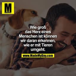 Wie groß das Herz eines Menschen ist, können wir daran erkennen, wie er mit Tieren umgeht.