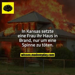 In Kansas setzte eine Frau ihr Haus in Brand, nur um eine Spinne zu töten.
