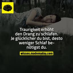 Traurigkeit erhöht den Drang zu schlafen.
Je glücklicher du bist, desto weniger Schlaf benötigst du.