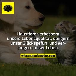 Haustiere verbessern unsere Lebensqualität, steigern unser Glücksgefühl und verlängern unser Leben.