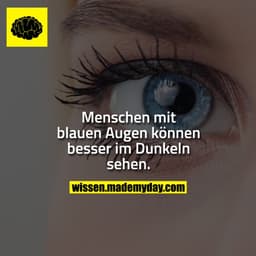 Menschen mit blauen Augen können besser im Dunkeln sehen.