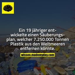 Ein 19 jähriger entwickelte einen Säuberungsplan, welcher 7.250.000 Tonnen Plastik aus den Weltmeeren entfernen könnte.