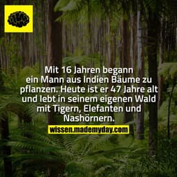Mit 16 Jahren begann ein Mann aus Indien Bäume zu pflanzen. Heute ist er 47 Jahre alt und lebt in seinem eigenen Wald mi