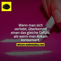 Wenn man sich verliebt, überkommt einen das gleiche Gefühl, als wenn man Kokain konsumiert.