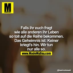 Falls ihr euch fragt wie alle anderen ihr Leben so toll auf die Reihe bekommen. Das Geheimnis ist: Keiner kriegt's hin. 