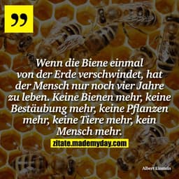 Wenn die Biene einmal von der Erde verschwindet, hat der Mensch nur noch vier Jahre zu leben. Keine Bienen mehr, keine B
