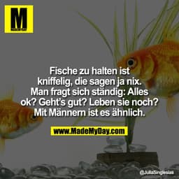 Fische zu halten
ist kniffelig, die sagen ja nix.

Man fragt sich ständig:
Alles ok? Geht's gut? Leben sie noch?
Mit Män