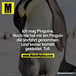 Ich mag Pinguine. Noch nie hat mir ein Pinguin die Vorfahrt genommen. Und immer korrekt gekleidet. Toll.