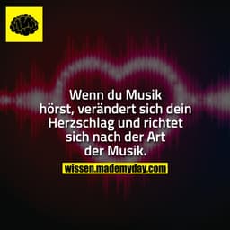 Wenn du Musik hörst, verändert sich dein Herzschlag und richtet sich nach der Art der Musik.