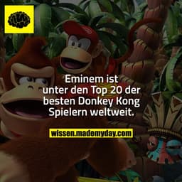 Eminem ist unter den Top 20 der besten Donkey Kong Spielern weltweit.
