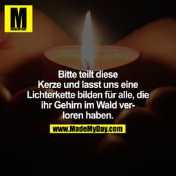 Bitte teilt diese Kerze und lasst uns eine Lichterkette bilden für alle, die ihr Gehirn im Wald verloren haben.