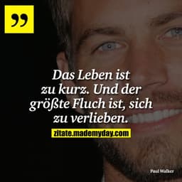 Das Leben ist zu kuzr. Und der größte Fluch ist, sich zu verlieben.