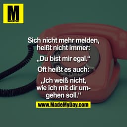 Sich nicht mehr melden,
heißt nicht immer,

"Du bist mir egal"

oft heißt es auch,

"Ich weiß nicht,
wie ich mit Dir umg